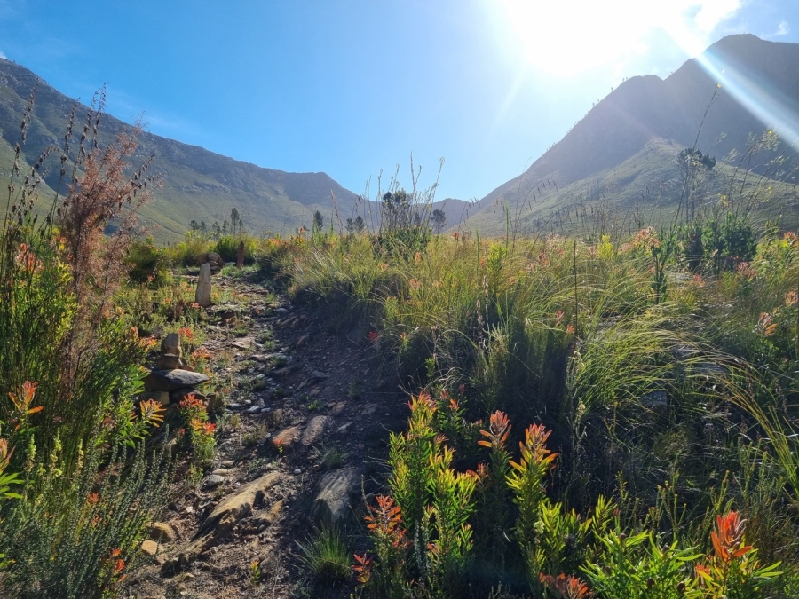 0 Bedroom Property for Sale in Joubertina Eastern Cape